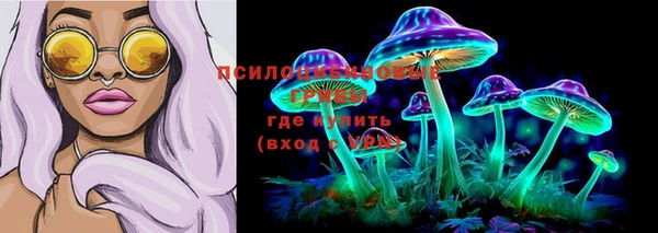 хмурый Богданович