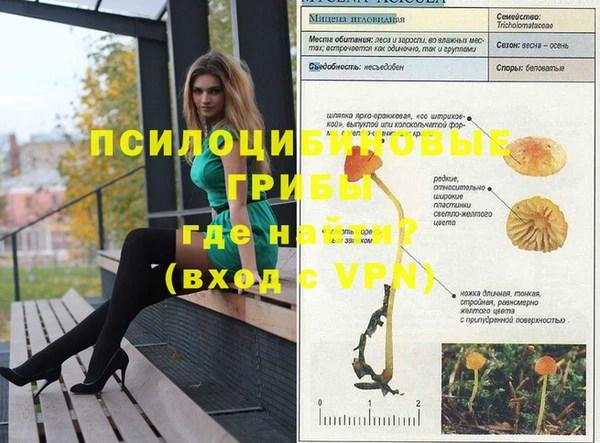 хмурый Богданович
