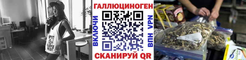 Галлюциногенные грибы Psilocybe  Павловск 
